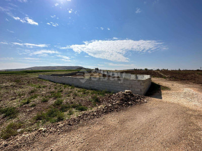 WhatsApp Image 2025-06-02 at 15.53.38 (1).jpeg